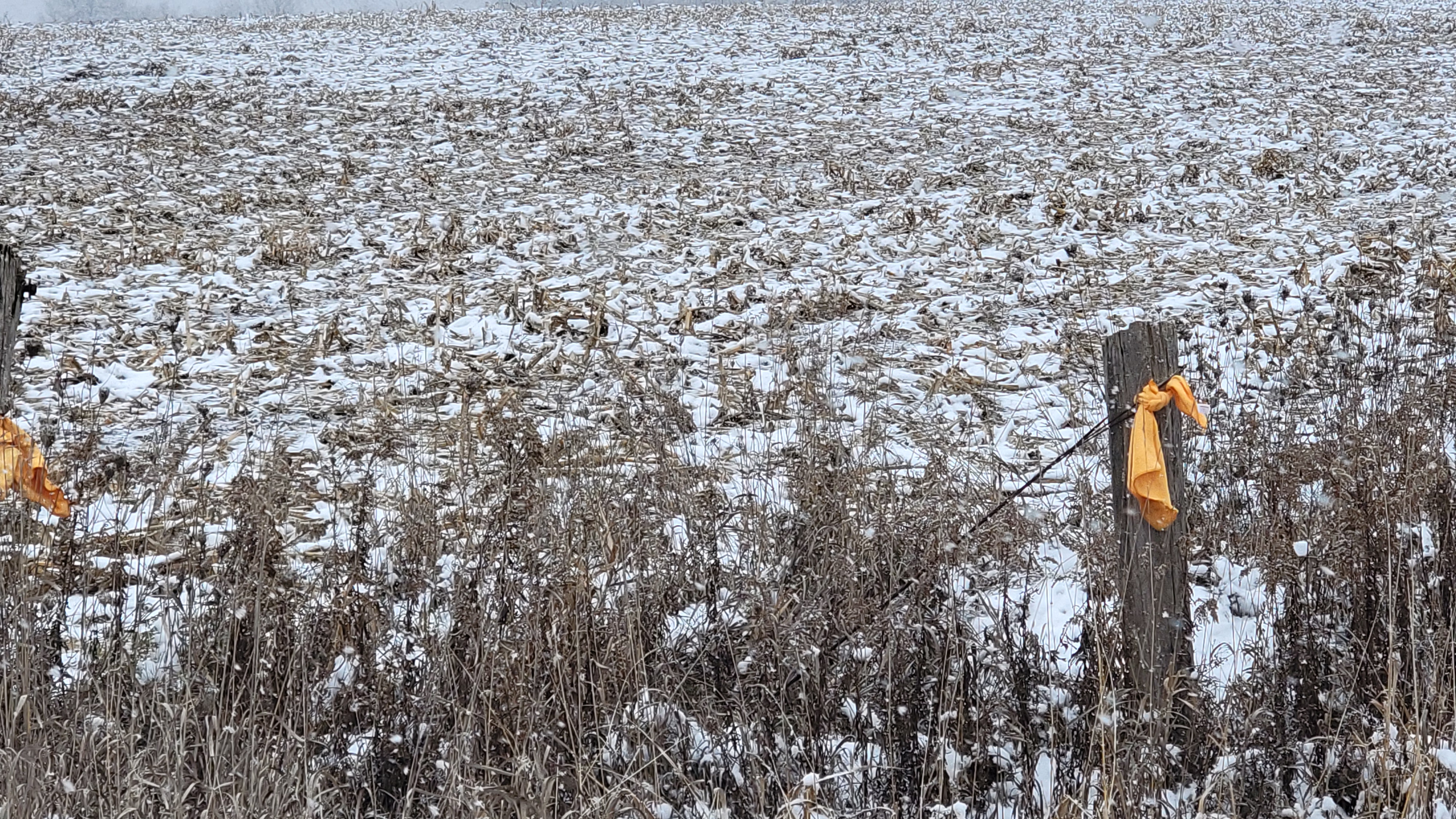 Vacant Land for Place of Worship preview 9